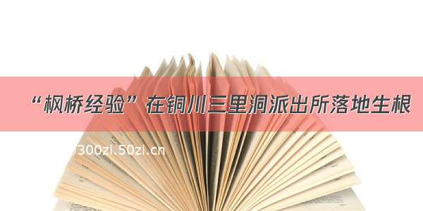 “枫桥经验”在铜川三里洞派出所落地生根