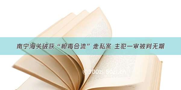 南宁海关破获“枪毒合流”走私案 主犯一审被判无期