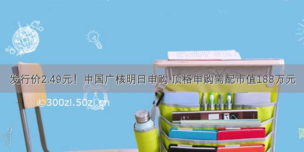 发行价2.49元！中国广核明日申购 顶格申购需配市值188万元