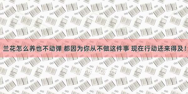 兰花怎么养也不动弹 都因为你从不做这件事 现在行动还来得及！