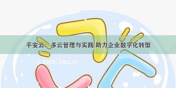 平安云：多云管理与实践 助力企业数字化转型