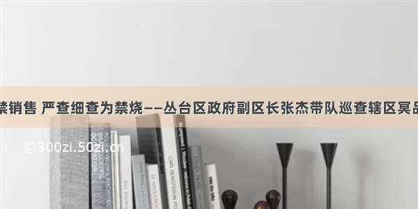 联合行动禁销售 严查细查为禁烧——丛台区政府副区长张杰带队巡查辖区冥品禁售情况