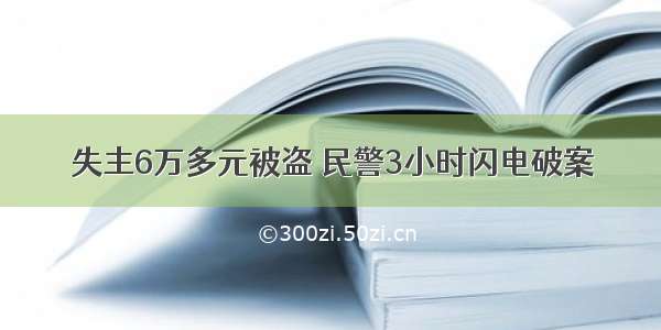 失主6万多元被盗 民警3小时闪电破案