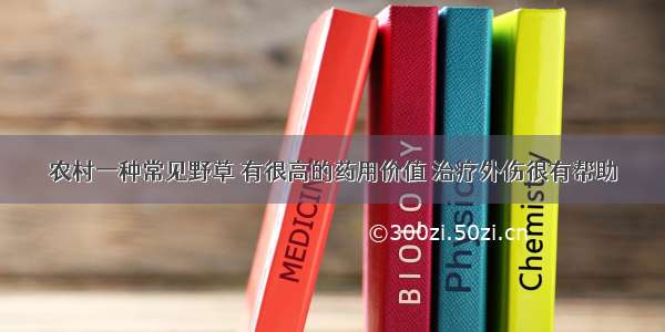 农村一种常见野草 有很高的药用价值 治疗外伤很有帮助