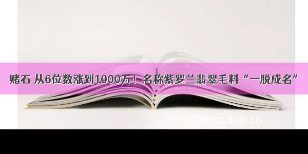 赌石 从6位数涨到1000万！名称紫罗兰翡翠毛料“一脱成名”