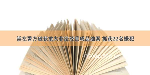 崇左警方破获重大非法经营成品油案 抓获22名嫌犯