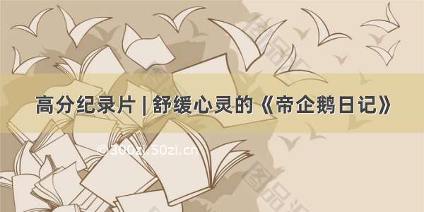 高分纪录片 | 舒缓心灵的《帝企鹅日记》