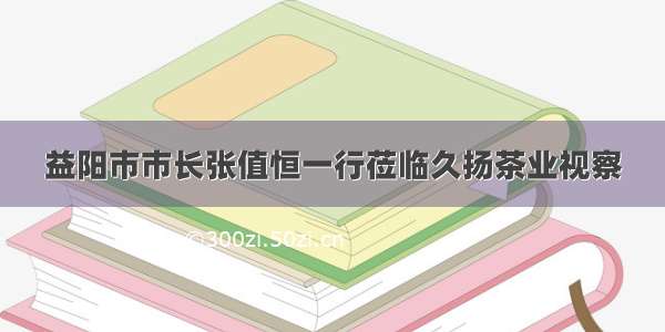 益阳市市长张值恒一行莅临久扬茶业视察