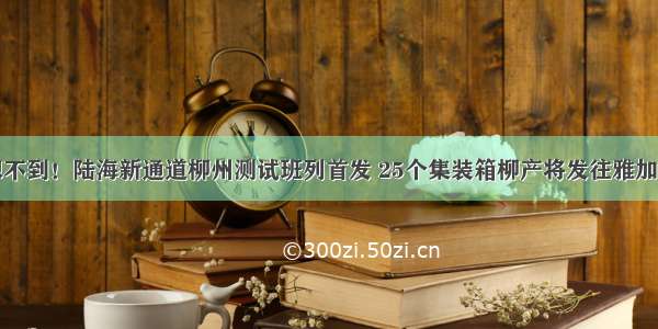 想不到！陆海新通道柳州测试班列首发 25个集装箱柳产将发往雅加达