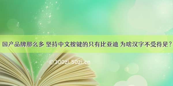 国产品牌那么多 坚持中文按键的只有比亚迪 为啥汉字不受待见？