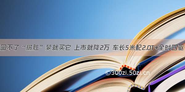 圆不了“揽胜”梦就买它 上市就降2万 车长5米配2.0T+全时四驱