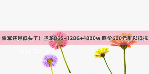 雷军还是低头了！骁龙855+128G+4800w 跌价600元难以抵抗