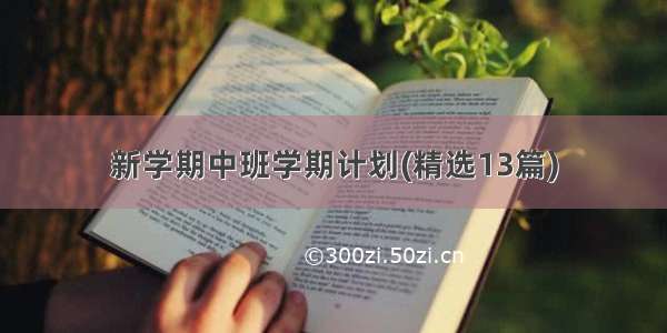 新学期中班学期计划(精选13篇)