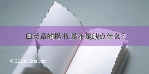 田英章的楷书 是不是缺点什么？