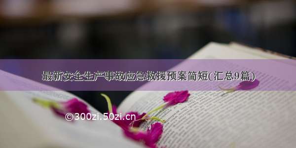 最新安全生产事故应急救援预案简短(汇总9篇)