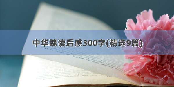 中华魂读后感300字(精选9篇)