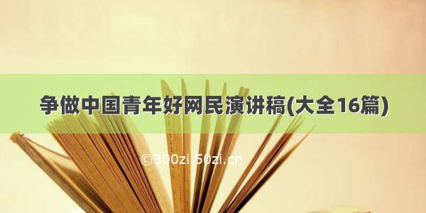 争做中国青年好网民演讲稿(大全16篇)