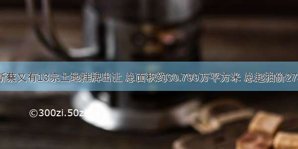 【土地新闻】新蔡又有13宗土地挂牌出让 总面积约30.799万平方米 总起拍价27301.02264万元。