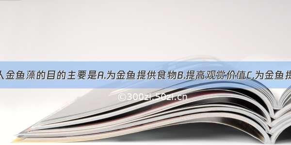 金鱼缸内放人金鱼藻的目的主要是A.为金鱼提供食物B.提高观赏价值C.为金鱼提供隐蔽场所