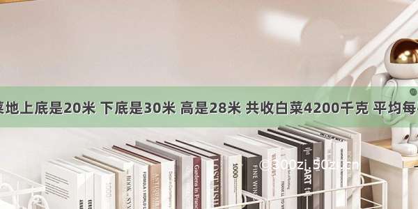 一块梯形菜地上底是20米 下底是30米 高是28米 共收白菜4200千克 平均每平方米收白