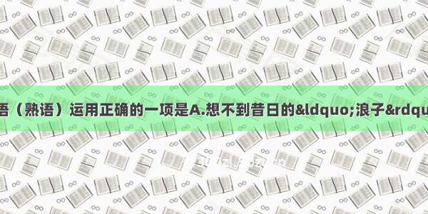 下列各句中画线成语（熟语）运用正确的一项是A.想不到昔日的“浪子”今天却成了英雄 