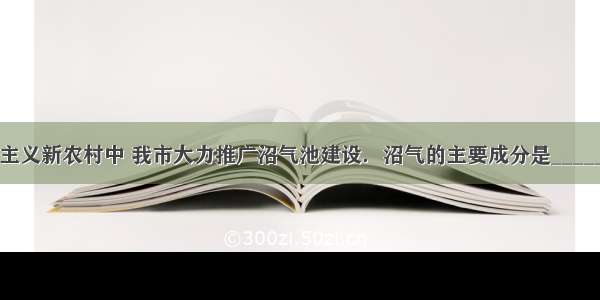 在建设社会主义新农村中 我市大力推广沼气池建设．沼气的主要成分是________ 其燃烧