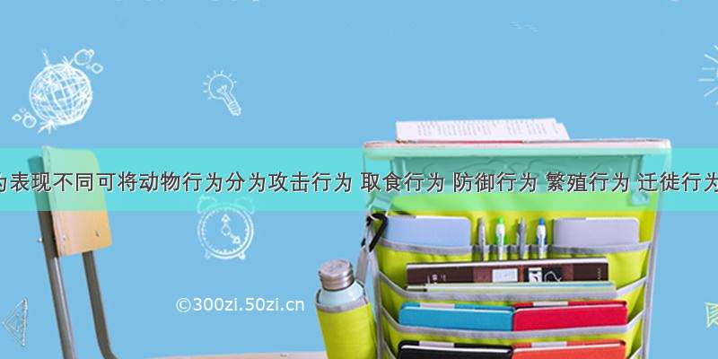 按行为表现不同可将动物行为分为攻击行为 取食行为 防御行为 繁殖行为 迁徙行为等