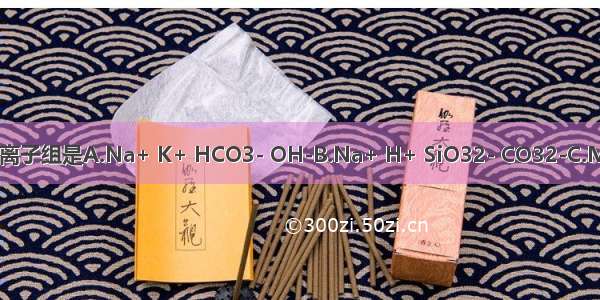 某无色溶液中 可能大量共存的离子组是A.Na+ K+ HCO3- OH-B.Na+ H+ SiO32- CO32-C.MnO4- K+ Cl- H+ SO42-D.N