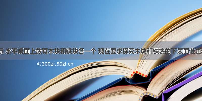 如图所示 水平桌面上放有木块和铁块各一个 现在要求探究木块和铁块的下表面谁更粗糙