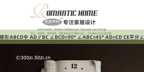 如图 在直角梯形ABCD中 AD∥BC ∠BCD=90° ∠ABC=45° AD=CD CE平分∠ACB交AB于