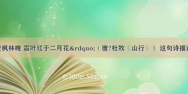 “停车坐爱枫林晚 霜叶红于二月花”（唐?杜牧《山行》） 这句诗描述的是哪一种非生