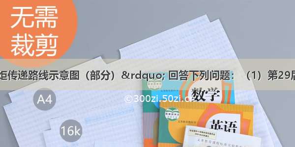 读“北京火炬传递路线示意图（部分）” 回答下列问题：（1）第29届北京奥运会的火炬