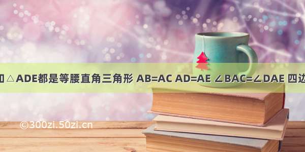 如图 △ABC和△ADE都是等腰直角三角形 AB=AC AD=AE ∠BAC=∠DAE 四边形ACDE是平