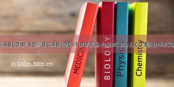 如图 等腰梯形ABCD中 AD∥BC AB=DC=1 BD平分∠ABC BD⊥CD 则AD+BC等于________．