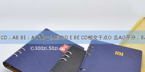 如图 已知CD⊥AB BE⊥AC 垂足分别为D E BE CD相交于点O 且AO平分∠BAC 那么图