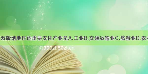 西双版纳地区的重要支柱产业是A.工业B.交通运输业C.旅游业D.农业