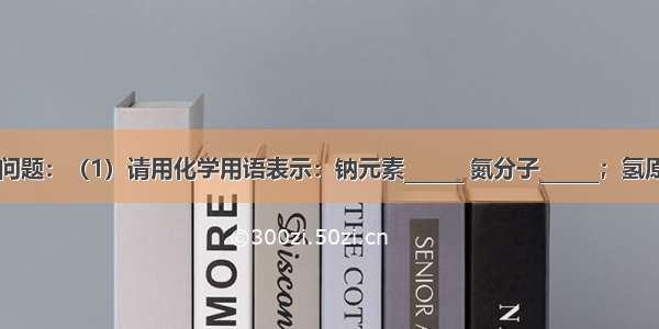 回答下列问题：（1）请用化学用语表示：钠元素______ 氮分子______；氢原子______；