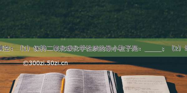 用化学用语填空：（1）保持二氧化碳化学性质的最小粒子是：______；（2）地壳中含量最