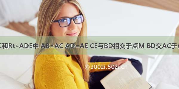 如图 在Rt△ABC和Rt△ADE中 AB=AC AD=AE CE与BD相交于点M BD交AC于点N．试猜想BD