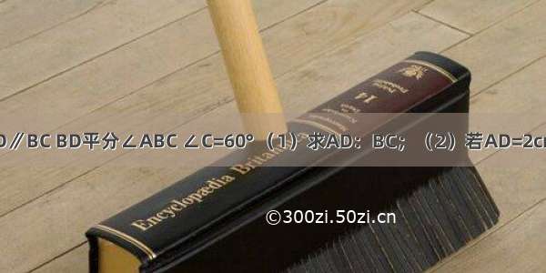 在等腰梯形ABCD中 AD∥BC BD平分∠ABC ∠C=60° （1）求AD：BC；（2）若AD=2cm 求梯形ABCD的面积．