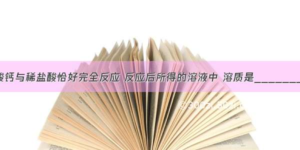 一定量的碳酸钙与稀盐酸恰好完全反应 反应后所得的溶液中 溶质是________ 溶液的质