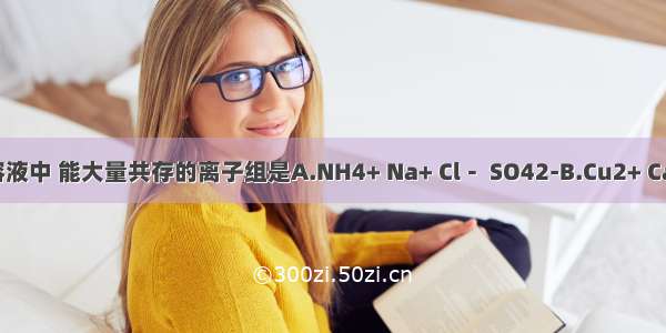 在强酸性溶液中 能大量共存的离子组是A.NH4+ Na+ Cl－ SO42-B.Cu2+ Ca2+ CO32-