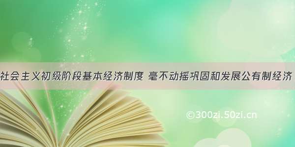 坚持和完善社会主义初级阶段基本经济制度 毫不动摇巩固和发展公有制经济 毫不动摇鼓