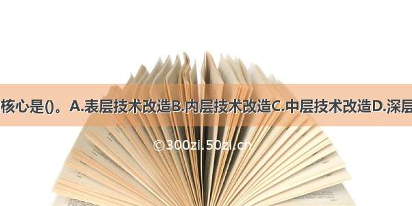 企业技术改造的核心是()。A.表层技术改造B.内层技术改造C.中层技术改造D.深层技术改造ABCD