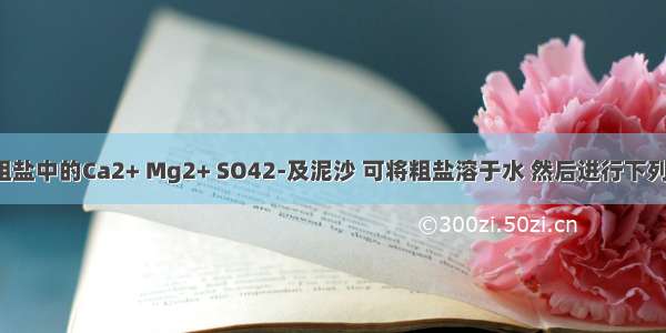 为了除去粗盐中的Ca2+ Mg2+ SO42-及泥沙 可将粗盐溶于水 然后进行下列五项操作：