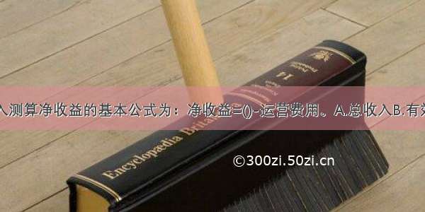 基于租赁收入测算净收益的基本公式为：净收益=()-运营费用。A.总收入B.有效毛收入C.潜