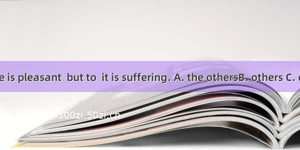 To some life is pleasant  but to  it is suffering. A. the othersB. others C. other D. the