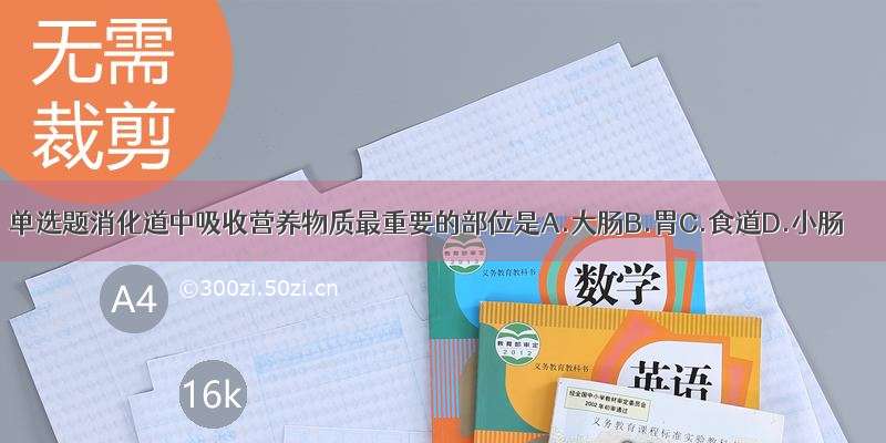 单选题消化道中吸收营养物质最重要的部位是A.大肠B.胃C.食道D.小肠