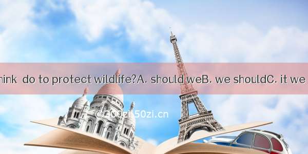 What do you think  do to protect wildlife?A. should weB. we shouldC. it we shouldD. it is