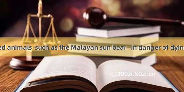 Many endangered animals  such as the Malayan sun bear   in danger of dying out.A. remainB